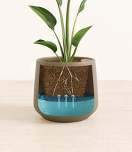 Load image into Gallery viewer, Olive