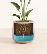 Load image into Gallery viewer, Eternal Gray