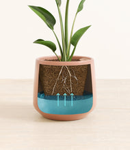 Load image into Gallery viewer, Calm Rose