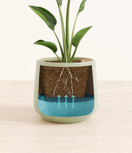 Load image into Gallery viewer, Turquoise