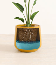 Load image into Gallery viewer, Mustard