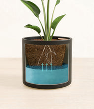 Load image into Gallery viewer, Black