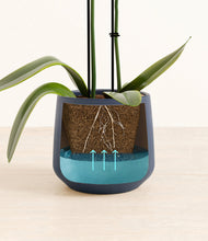 Load image into Gallery viewer, Deep Navy stand:all