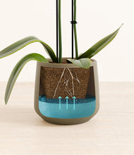 Load image into Gallery viewer, Olive stand:all