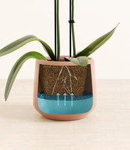 Load image into Gallery viewer, Calm Rose stand:all