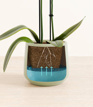 Load image into Gallery viewer, Turquoise stand:all