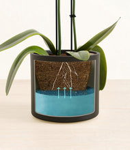 Load image into Gallery viewer, Black stand:all