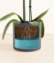 Load image into Gallery viewer, Deep Navy