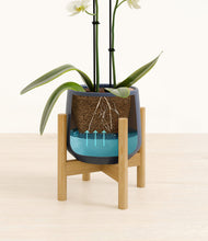 Load image into Gallery viewer, Deep Navy stand:bamboo