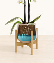 Load image into Gallery viewer, Eternal Gray stand:bamboo