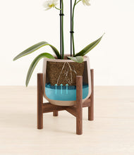 Load image into Gallery viewer, -