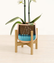 Load image into Gallery viewer, Gentle Pink stand:bamboo