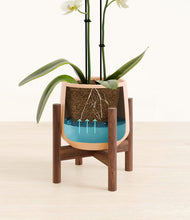 Load image into Gallery viewer, -