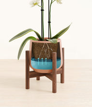 Load image into Gallery viewer, -