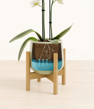 Load image into Gallery viewer, Turquoise stand:bamboo