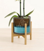 Load image into Gallery viewer, Dark Olive stand:bamboo