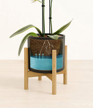 Load image into Gallery viewer, -