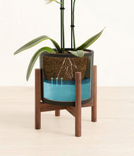 Load image into Gallery viewer, Black stand:walnut