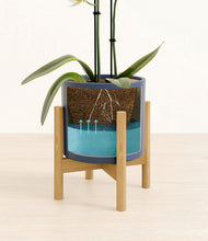 Load image into Gallery viewer, Deep Navy stand:bamboo