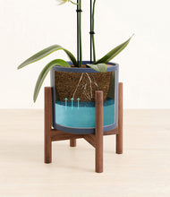 Load image into Gallery viewer, -