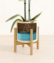 Load image into Gallery viewer, Cream stand:bamboo