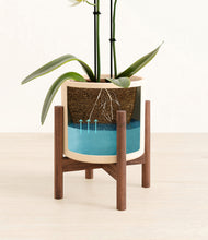 Load image into Gallery viewer, Cream stand:walnut