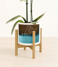 Load image into Gallery viewer, White stand:bamboo