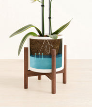 Load image into Gallery viewer, White stand:walnut