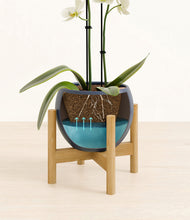 Load image into Gallery viewer, -