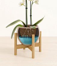 Load image into Gallery viewer, Desert Brown stand:bamboo