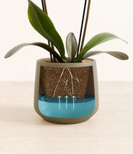 Load image into Gallery viewer, Olive stand:all