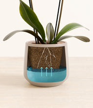 Load image into Gallery viewer, Eternal Gray