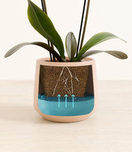 Load image into Gallery viewer, Gentle Pink