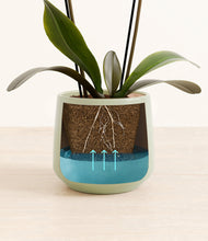 Load image into Gallery viewer, Turquoise