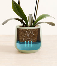 Load image into Gallery viewer, Turquoise stand:all