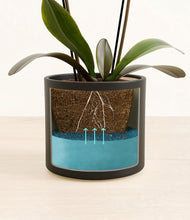 Load image into Gallery viewer, Black