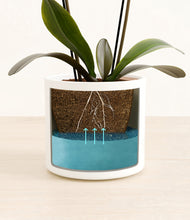 Load image into Gallery viewer, White