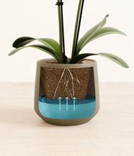 Load image into Gallery viewer, Olive