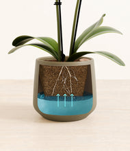 Load image into Gallery viewer, Olive stand:all