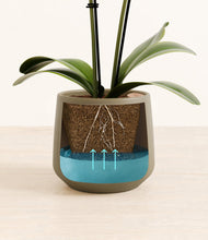 Load image into Gallery viewer, Olive stand:all