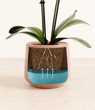 Load image into Gallery viewer, Calm Rose