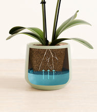 Load image into Gallery viewer, Turquoise