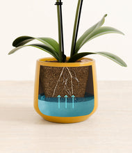 Load image into Gallery viewer, Mustard