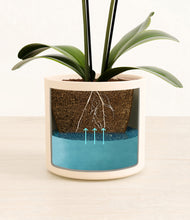 Load image into Gallery viewer, Cream