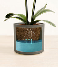 Load image into Gallery viewer, Dark Olive