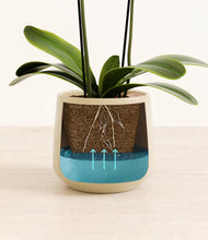 Load image into Gallery viewer, Almond Green