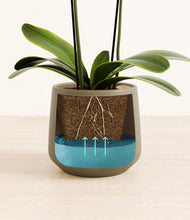 Load image into Gallery viewer, Olive stand:all
