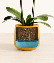 Load image into Gallery viewer, Mustard