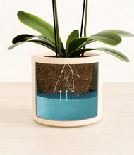 Load image into Gallery viewer, Cream