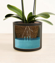 Load image into Gallery viewer, Black